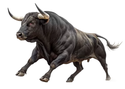 Imagen PNG para descargar